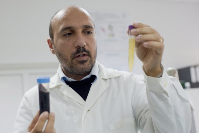 sange-artificial-800x533